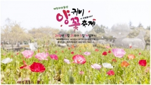 제주 허브동산, ‘양귀비꽃 축제’ 개최