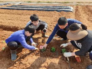 [익산]자녀와 함께하는 초보농부 도시농업 교실 운영